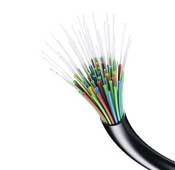 Giganet GN-LT-SM-OS2-24C in-Out 24core Fiber Optic Cable